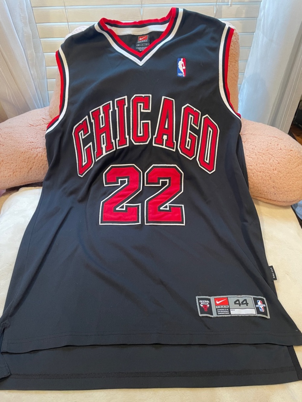 Nike Chicago Bulls Jay Williams Basketball Jersey
